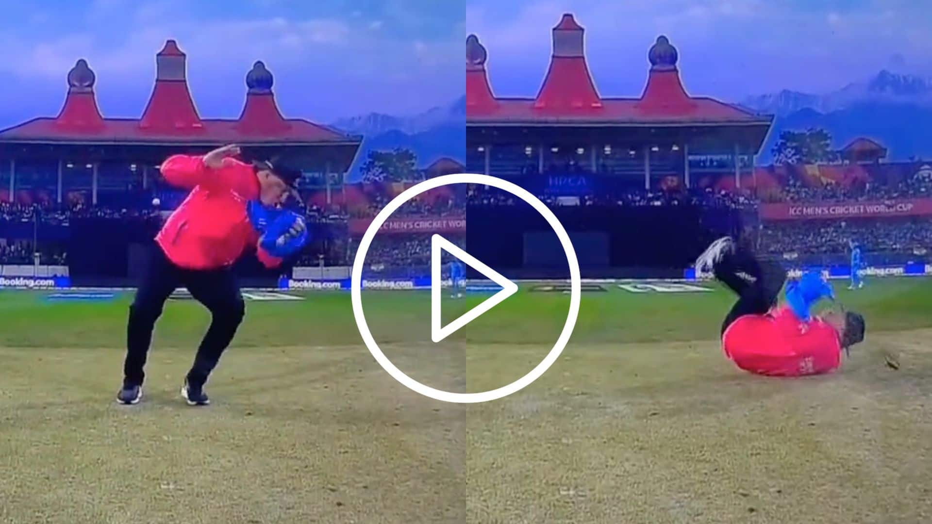[Watch] Daryl Mitchell's Brute Force Propels Umpire Adrian Holdstock To Fall On The Floor